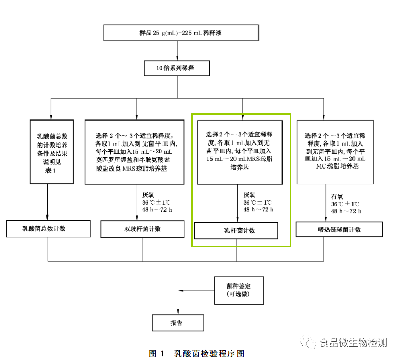 乳酸菌检验程序