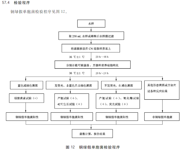 铜绿假单胞菌检验程序