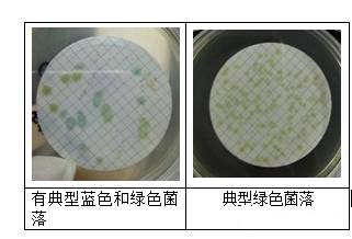 绿脓菌素确证性试验