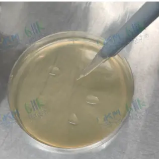 将0.1mL菌液均匀接种到待检培养基（或其他待检品）