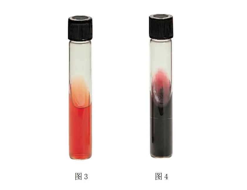 三糖铁实验碱性反应